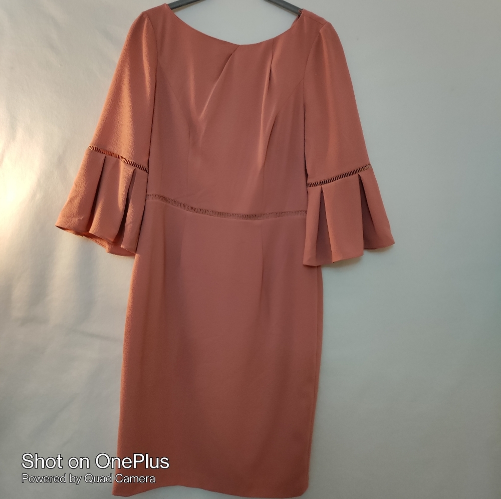 🎁 Adrianna Papell antique rose  Dress Size 6